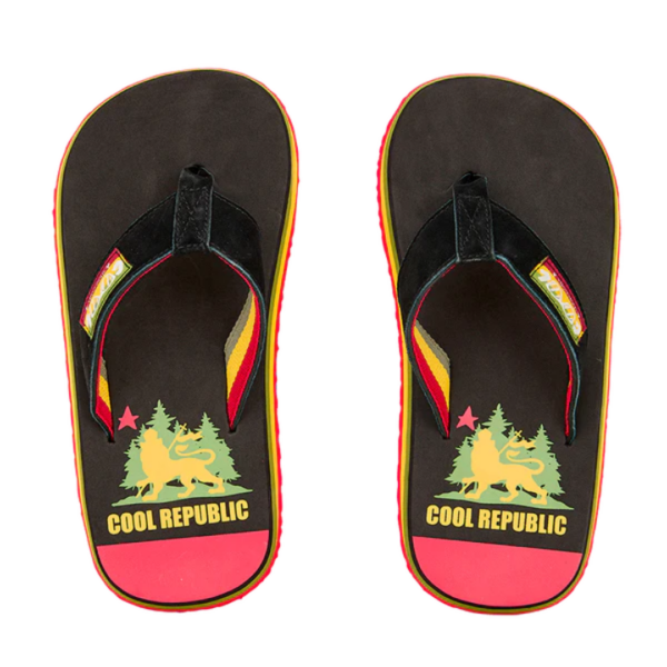 Chanclas cool original Lion, comprar online chanclas, temporada 2024, comprar barato, regalo original cool rastas